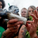 Признаки употребления марихуаны